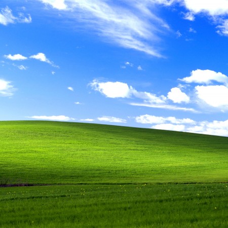 windows_xp_bliss-wide